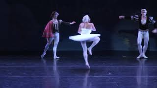 Les Ballets Trockadero de Monte Carlo  DEC 14JAN 2 [upl. by Aicek]