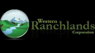 Western Ranchlands Tomahawk Ranch 2018 Angus X Calves [upl. by Ennirak]