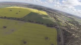 Canola fields  NSW Australia  DJI Avata 2 FPV drone [upl. by Litsyrk]