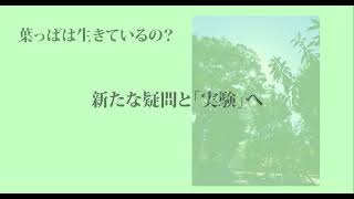 【福島大学 人間発達文化学類】②保育場面から見る幼児理解「新たな教師の学び」に対応したオンライン研修コンテンツ開発事業 [upl. by Noxin668]