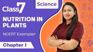 Class 7th  Science I Nutrition in Plants  NCERT Exemplar I Chapter 1 I L 2 I 202425 [upl. by Vivie507]