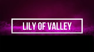 The Lily Of The Valley with Lyrics gospel hymn song [upl. by Timmi371]