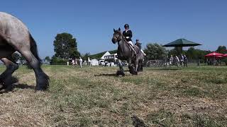 De Zeeuwse Dag van het Paard in Oosterland [upl. by Neille]