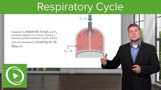 Respiratory Cycle Breathing and Lung Mechanics – Physiology  Lecturio [upl. by Dorcia]