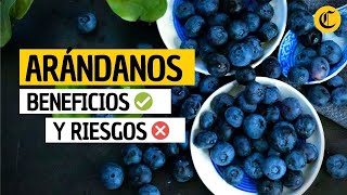 BENEFICIOS y PROPIEDADES ✅ de los ARÁNDANOS y cuando NO CONSUMIRLOS ❌  El Comercio [upl. by Nofets828]