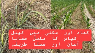 How to control khabal grass cynodon dactylon in maize and sugarcane crop [upl. by Nosemyaj]