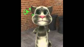 Talking Tom  chuyen tinh Lan va Diep [upl. by Nolla]