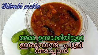 Erumban Puli Achar  അമ്മ ഉണ്ടാക്കിയിട്ടുള്ള ഇലുമ്പൻ പുളി അച്ചാർBilimbi Pickle Ep101 [upl. by Cleasta]