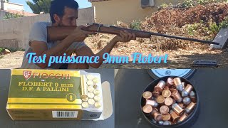 Test puissance 9mm Flobert Carabine 😩😩😅 [upl. by Aihsot923]