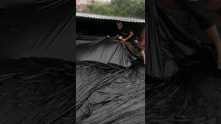 Roof temporary treatment plastic sheet youtubeshorts poly shorts video ytshorts [upl. by Katonah]