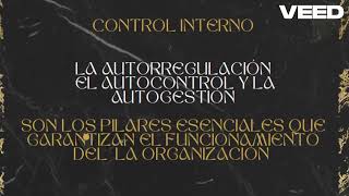 EL CONTROL INTERNO amp CONTROL TRIBUTARIO [upl. by Kcerred31]