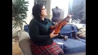 Violin Stentor Messina [upl. by Nylhtac]