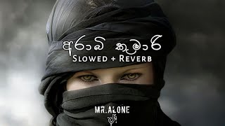 Arabi Kumari Slowed  Reverb  Sandun Perera  MrAlone  Sinhala Slowed  Reverb  Sinhala Song [upl. by Leonidas611]