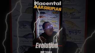 💥 Placental Mammals Vs Australian Marshupian 🔥 Trick to Remember Evolution Biology ⚡ Examples [upl. by Siurtemed]