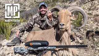 TX Aoudad Hunt Sheep Week 2022  Mark Peterson Hunting [upl. by Yromem879]