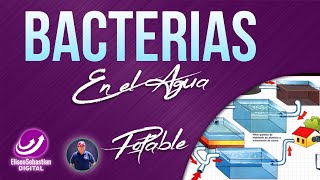 🦹‍♂ Bacterias en el Agua Potable 🦹‍♂🌏 [upl. by Nitsuj]