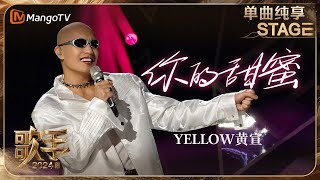 【歌手·单曲纯享】YELLOW黄宣 《你的甜蜜 》再次大胆改编 充满节奏感的旋律带来甜蜜暴击  Singer 2024 EP6  MangoTV [upl. by Aidiruy581]