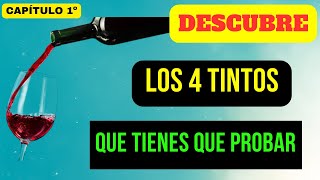 🛢️ VINOS TINTOS BUENOS 💠 4 Vinos Tintos QUE MARCAN LA DIFERENCIA  1ª Parte  2023 [upl. by Bannerman858]