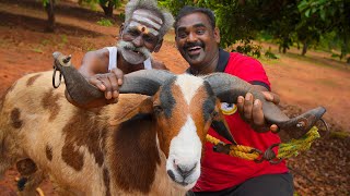 JACKFRUIT MUTTON  Jackfruit Mutton Gravy  Daddy Arumugam  World food tube [upl. by Tove571]