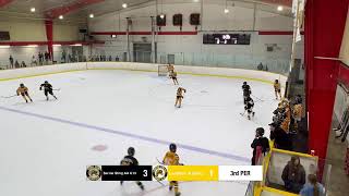 vs Sarnia Sting U13  Sept 15 2024 [upl. by Ynabe555]