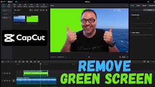 How to Remove Green Screen on Capcut PC [upl. by Oriane]