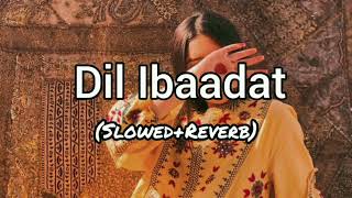 Dil Ibaadat  Slowed Reverb [upl. by Nhar953]