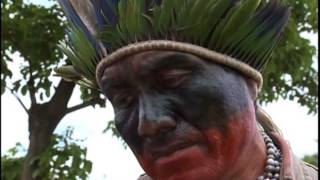 Série Especial Índios Territórios Indígenas  Repórter Brasil manhã [upl. by Range]