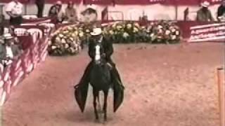 Ruiseñor de Chihuahua en la mundial de caballos de paso Medellin 2003  Rey de la sabana [upl. by Malik]