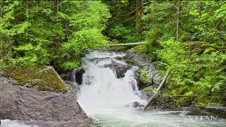 Waterfall Background Video Waterfall Sounds 9h Long Forest 4k UHD [upl. by Bluma413]