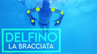 Corso di nuoto  Lezione 16  La bracciata delfino GIANNI BARBERINO [upl. by Ettennyl]