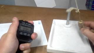 Oscillating Pendulum Experiment  IGCSE Physics [upl. by Ymerrej289]