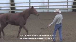 Helping a Herd Bound Horse with Jonathan Field [upl. by Anattar727]