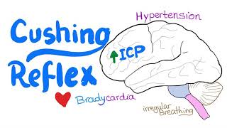 Cushing Reflex  Cushing Triad  Intracranial Hypertension  Emergency Medicine and EMS EMT [upl. by Geiger]