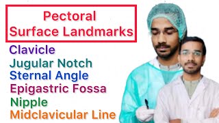 Pectoral Surface Landmark  Clavicle  Jugular Notch  Sternal Angle  Epigastric Fossa  Nipple [upl. by Lillian]