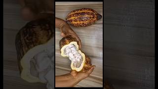 How To Make Cocoa Powder From Cocoa Seeds At Home [upl. by Stanwin]