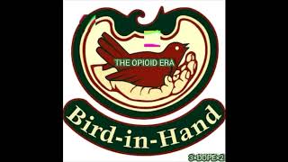 The Opioid Era  Birds [upl. by Byrom]