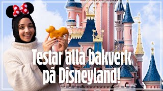 TESTAR ALLA BAKVERK PÅ DISNEYLAND PARIS [upl. by Nasya]