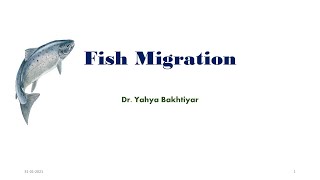 21 Fish Migration Types Causes and Advantages of migration [upl. by Hays]