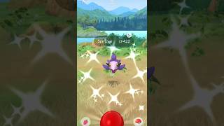 Getting Lucky with Shiny✨Spritzee pokemongo shinypokemon pokemon [upl. by Em]