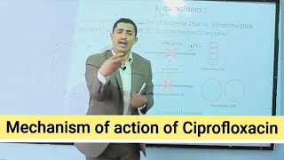 Mechanism of action of Quinolines آلية عمل فلوروكيونيلونز [upl. by Kohcztiy346]