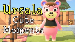 Acnh cute moments  Ursala [upl. by Ecerahs]