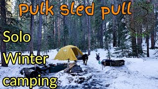 Solo winter camping  Pulk Sled pull [upl. by Malley]