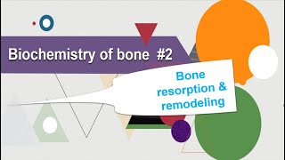 Bone resorption and remodeling Biochemistry of bone [upl. by Eidnac105]