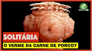 SOLITÁRIA O VERME DA CARNE DE PORCO CUIDADO [upl. by Anasus]