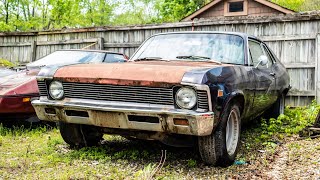 We Bought a 69 NOVA [upl. by Larimer]