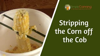 Cutting the corn off the cob for canning and dehydrating [upl. by Durand]