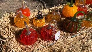 A sneak peak at Folsom’s Glass Pumpkin Patch for 2023 [upl. by Odnanreh]