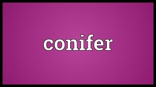 Conifer Meaning [upl. by Mouldon]