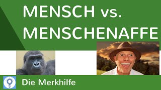 Mensch vs Menschenaffe  Mensch und Menschenaffe Schimpanse im Vergleich  Evolution 26 [upl. by Marvin]