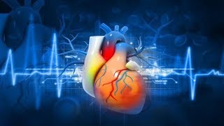 cardiovascular system cardiac action potential [upl. by Ahsam]